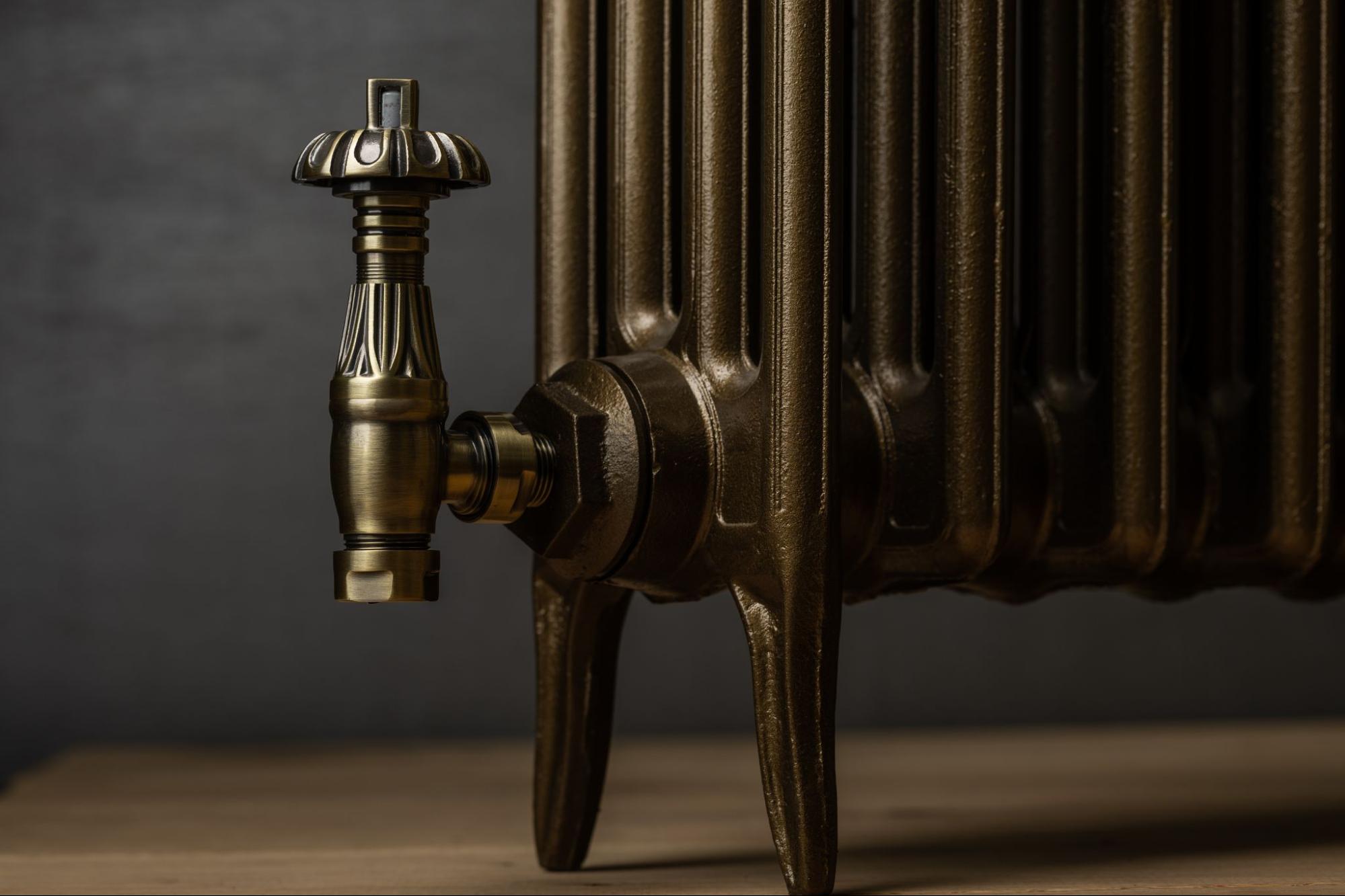 Antique Bronze radiator 2