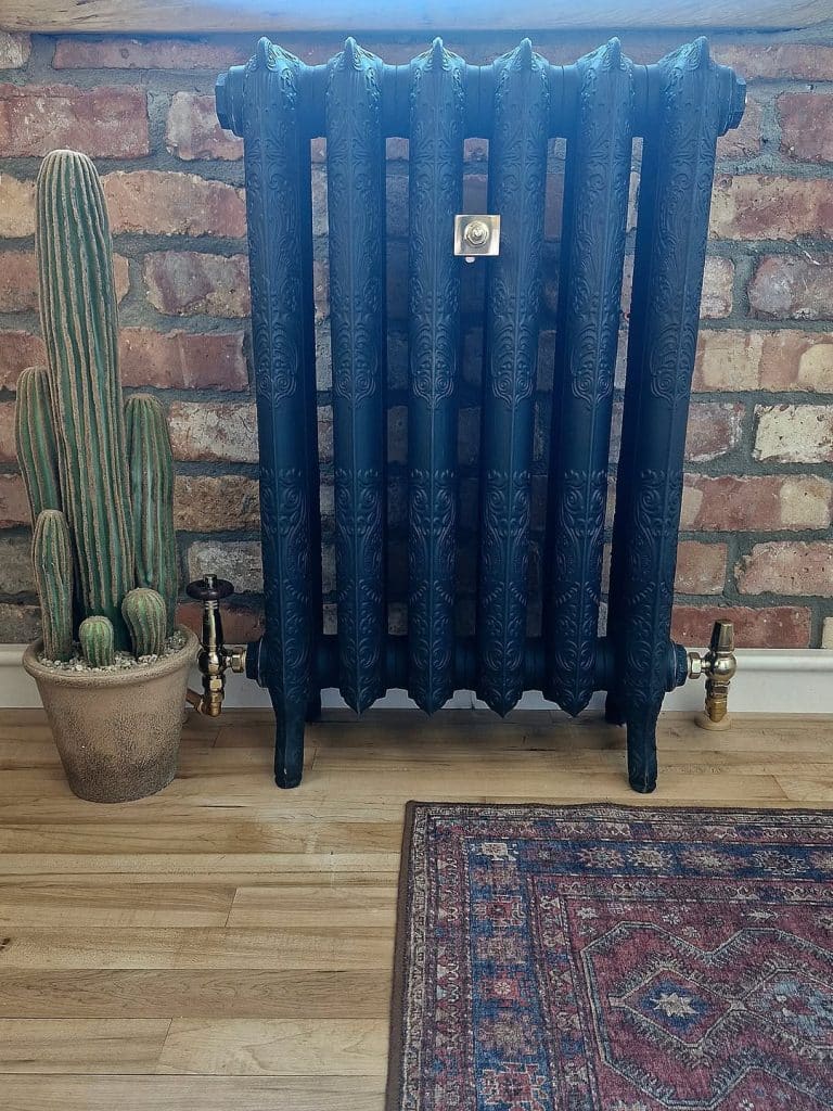 Vintage radiator beside potted cactus.